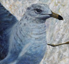 â€œStartled Gullâ€ (Study for Sudden Flight), 2011 Watercolor and Acrylics on Paper (Lanaquarelle 140 lb. Cold Pressed) 10 5/8 x 11 1/2 in., by David Jay Spyker