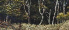 "Barricade", 2010, Drybrush and Watercolor, Detail, by David Jay Spyker