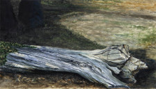 "Fallen Maple", 2012, Watercolor and Drybrush on Paper (Arches 140 lb. Hot Pressed), 12 9/16 x 22 1/16 in., by David Jay Spyker