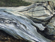 "Fallen Maple", 2012, Watercolor and Drybrush on Paper (Arches 140 lb. Hot Pressed), Detail, by David Jay Spyker